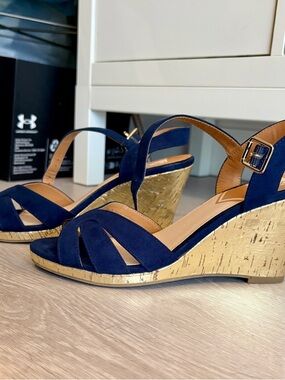 DV Navy Suede Wedge Sandals with Gold Cork Heel